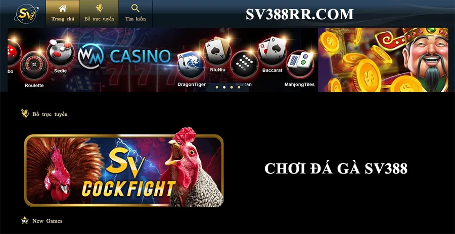 Hướng dẫn cược đá gà SV388 cho thành viên mới
